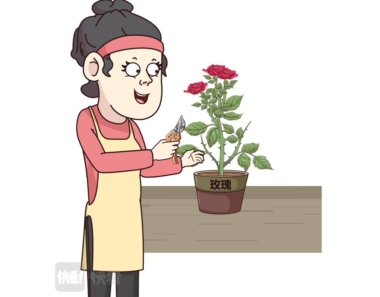 食方—你不知道的种植小技巧 玫瑰剪枝就“咔”，再开人人都夸 第18页