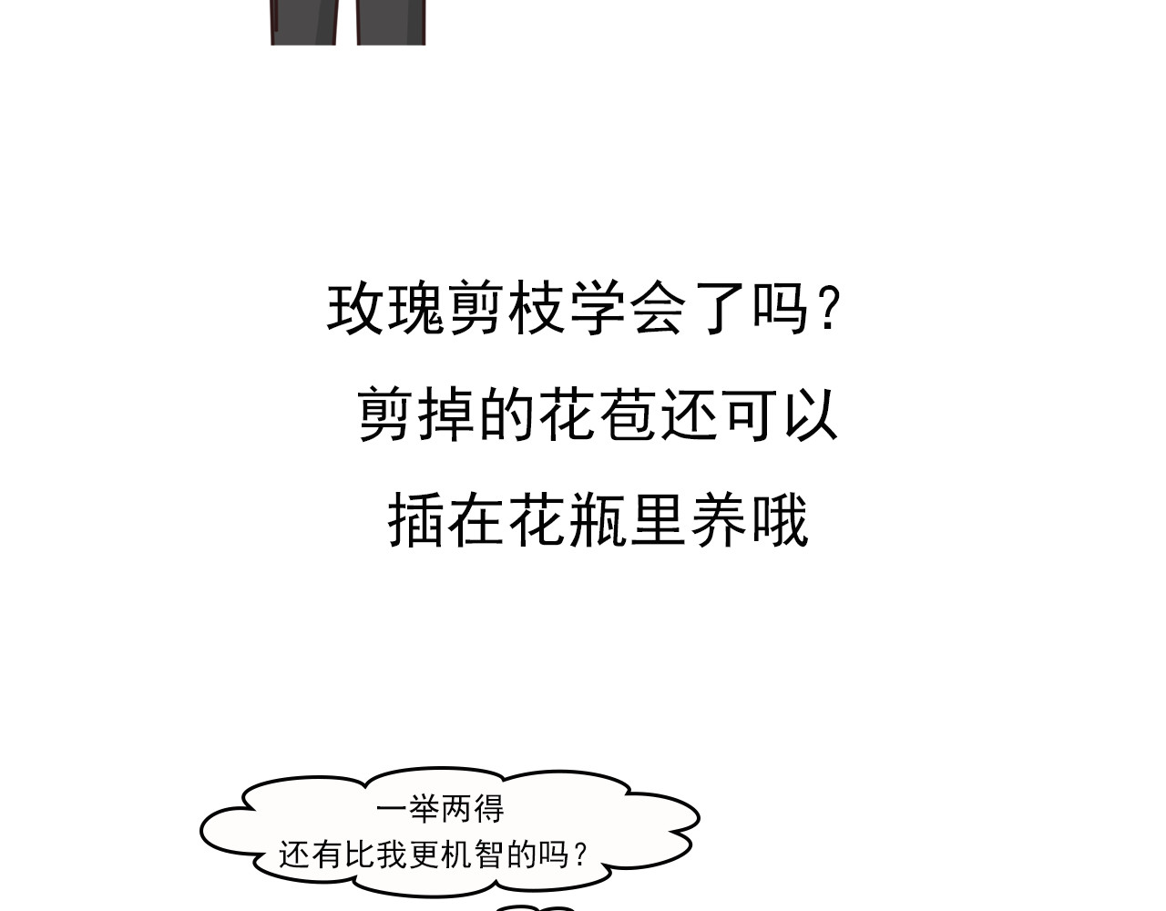 食方—你不知道的种植小技巧 玫瑰剪枝就“咔”，再开人人都夸 第19页