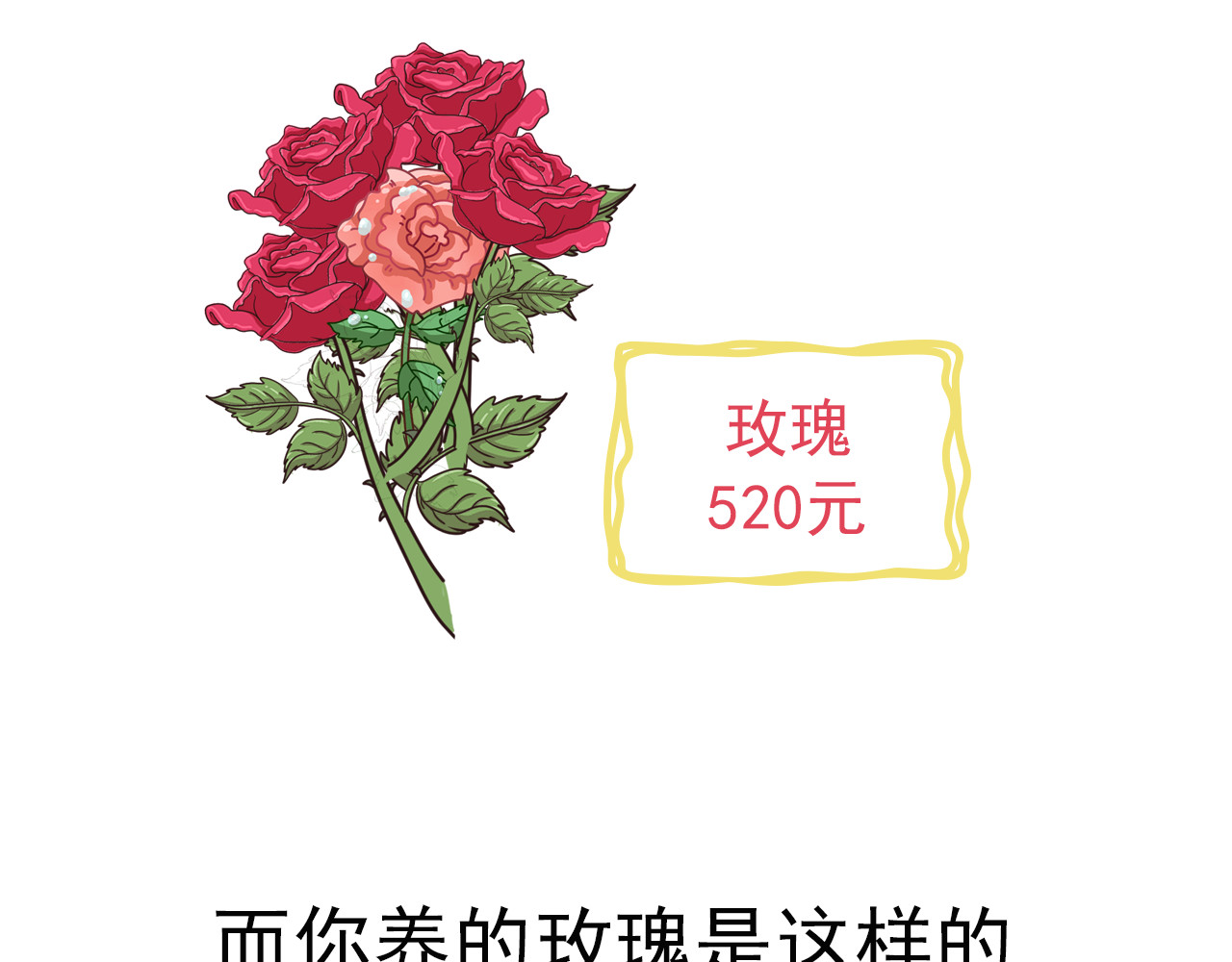 食方—你不知道的种植小技巧 玫瑰剪枝就“咔”，再开人人都夸 第3页