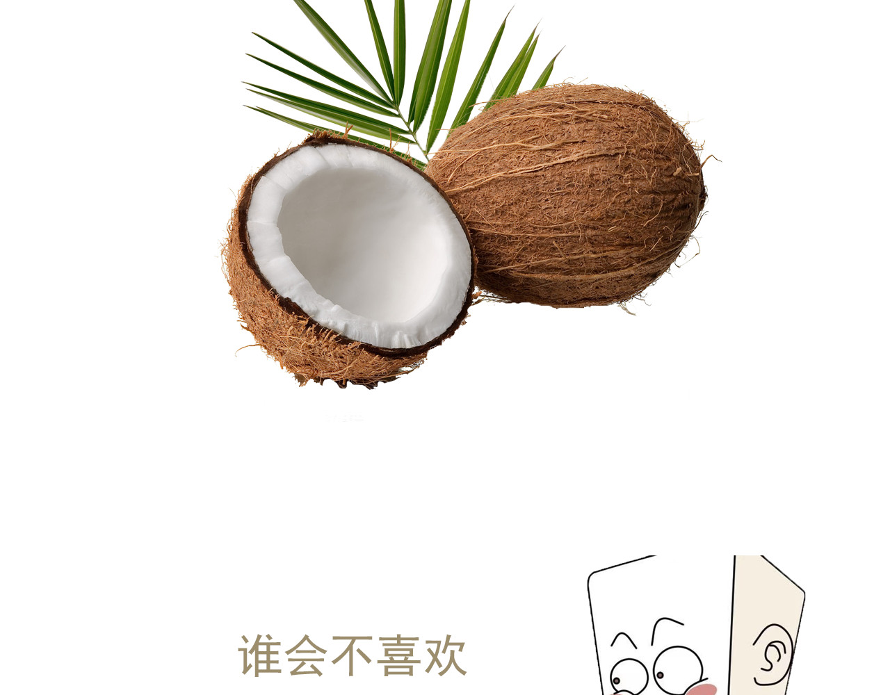 食方—你不知道的种植小技巧 长芽的叶子不要扔，养成盆栽更好看 第2页