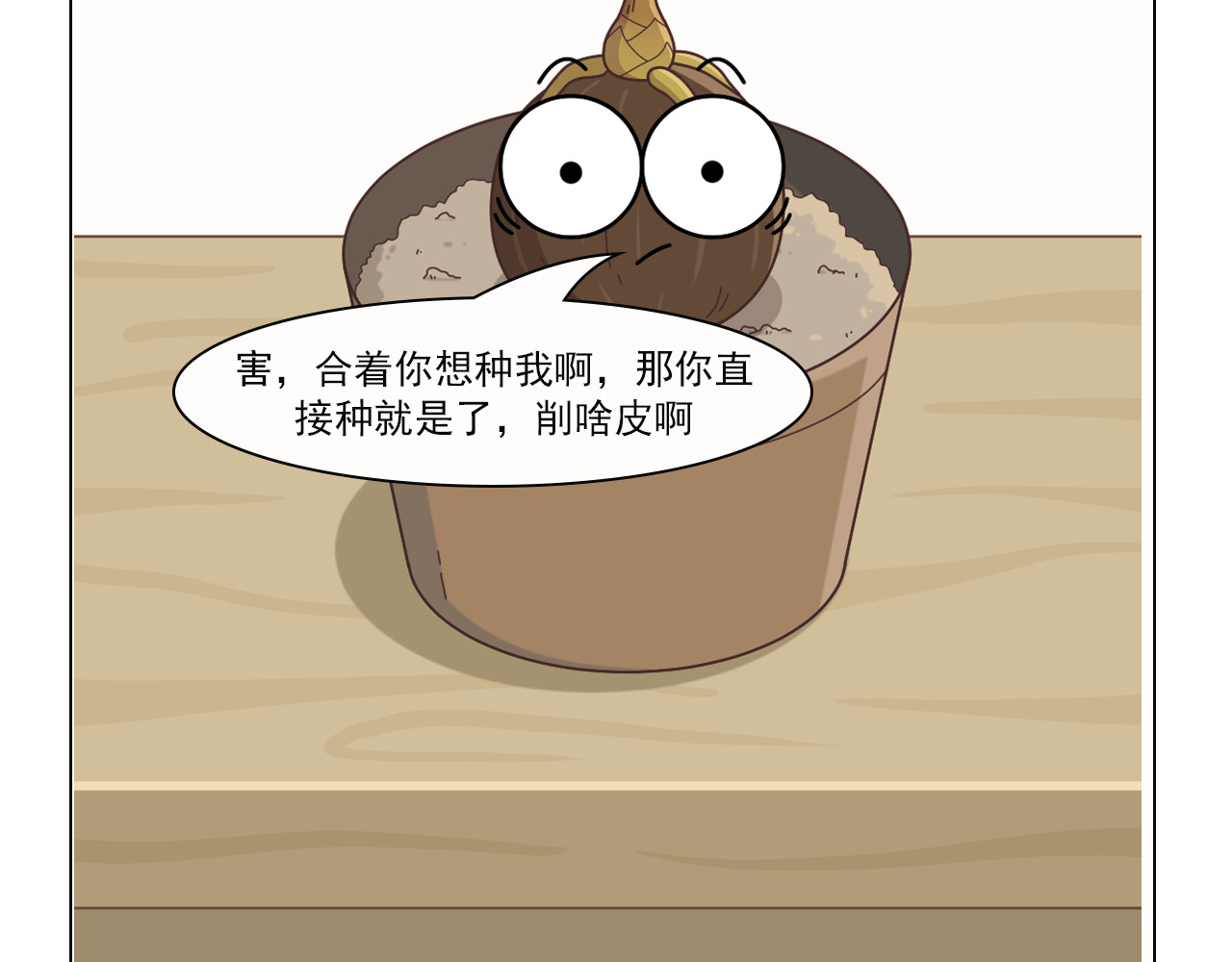 食方—你不知道的种植小技巧 长芽的叶子不要扔，养成盆栽更好看 第16页