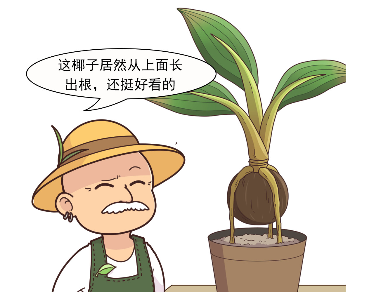 食方—你不知道的种植小技巧 长芽的叶子不要扔，养成盆栽更好看 第25页