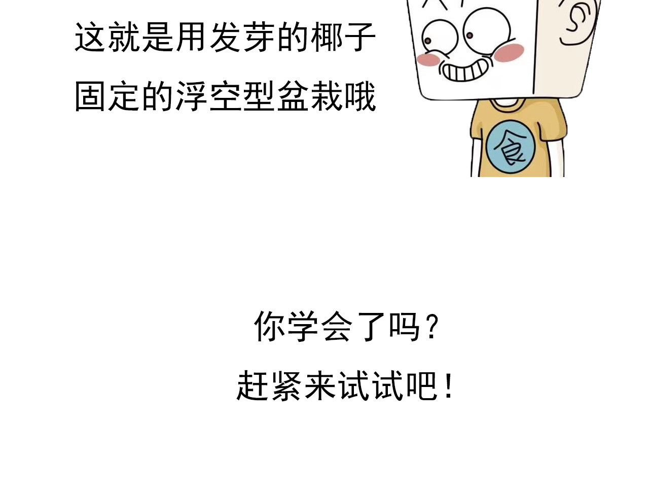 食方—你不知道的种植小技巧 长芽的叶子不要扔，养成盆栽更好看 第27页