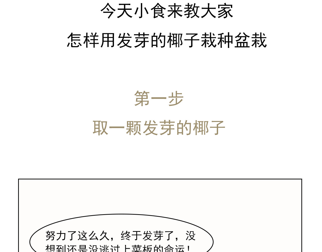 食方—你不知道的种植小技巧 长芽的叶子不要扔，养成盆栽更好看 第5页