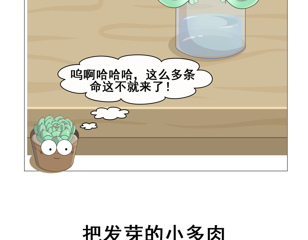 食方—你不知道的种植小技巧 拥有一颗多肉，就等于拥有无数棵多肉 第14页