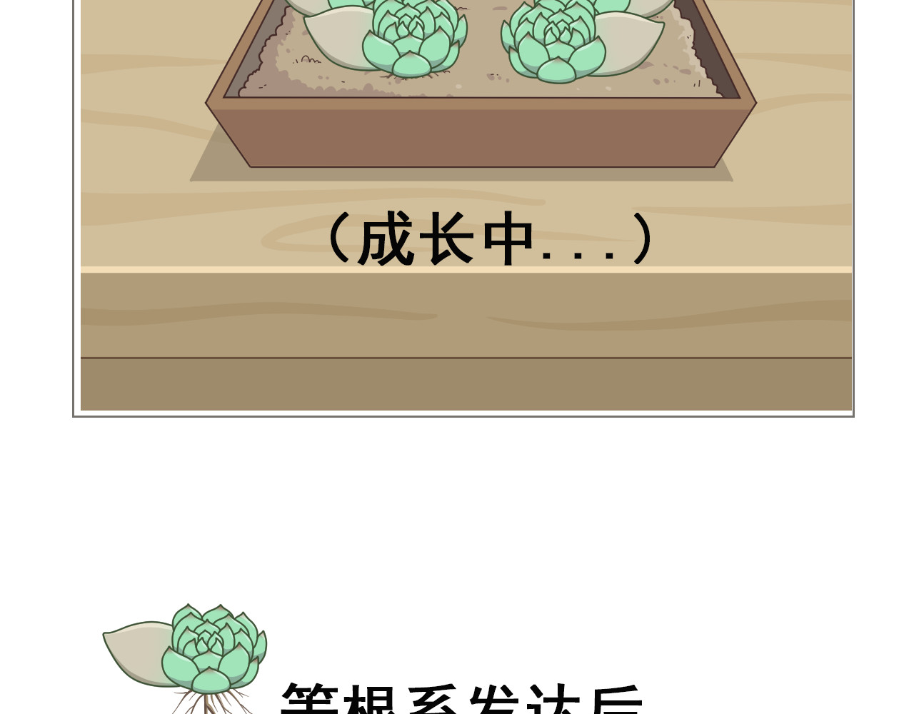 食方—你不知道的种植小技巧 拥有一颗多肉，就等于拥有无数棵多肉 第17页