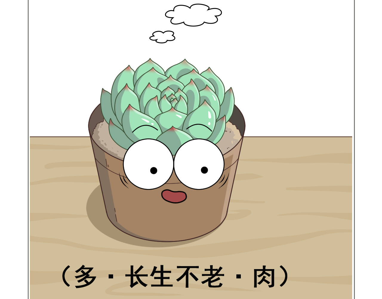 食方—你不知道的种植小技巧 拥有一颗多肉，就等于拥有无数棵多肉 第21页