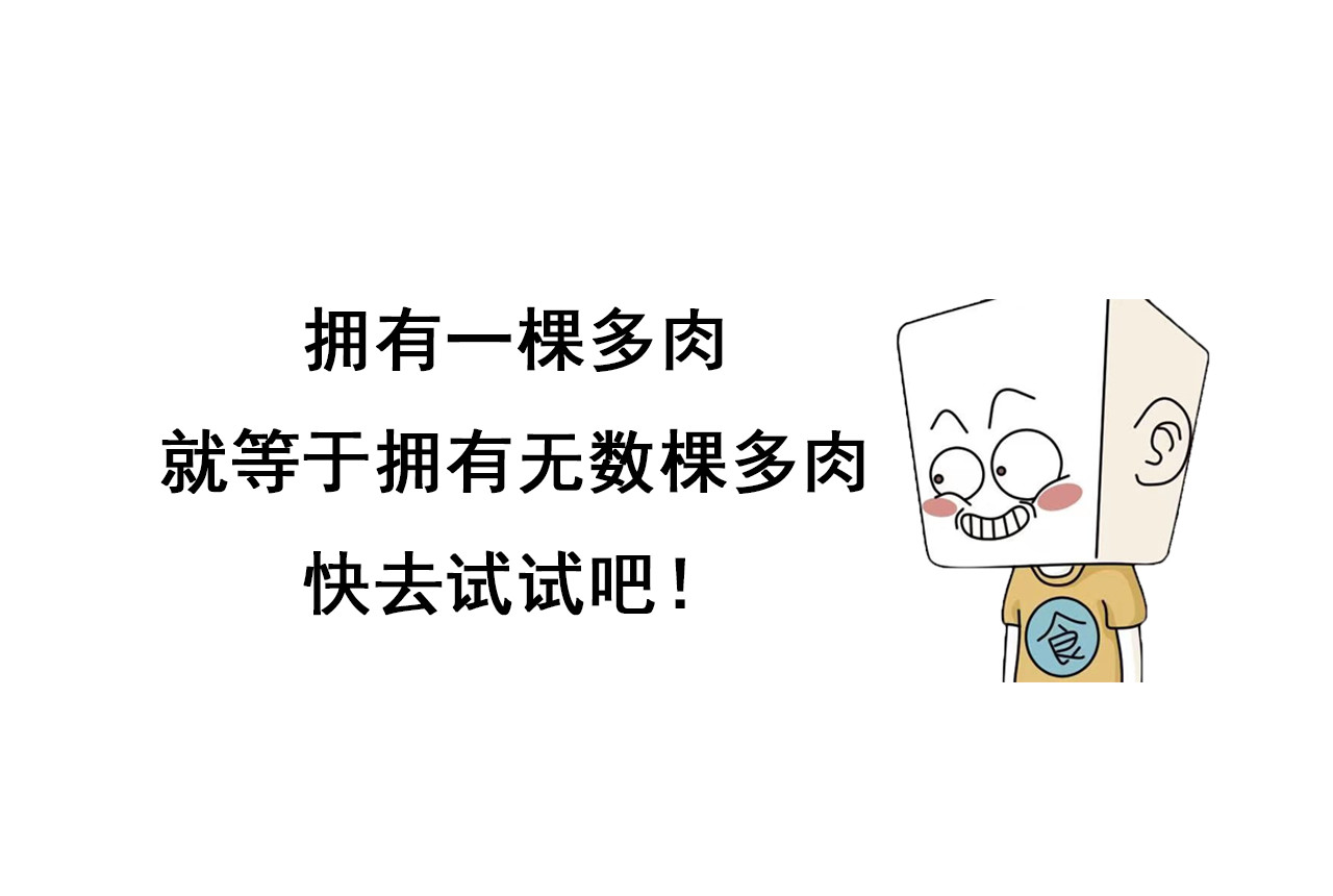 食方—你不知道的种植小技巧 拥有一颗多肉，就等于拥有无数棵多肉 第23页