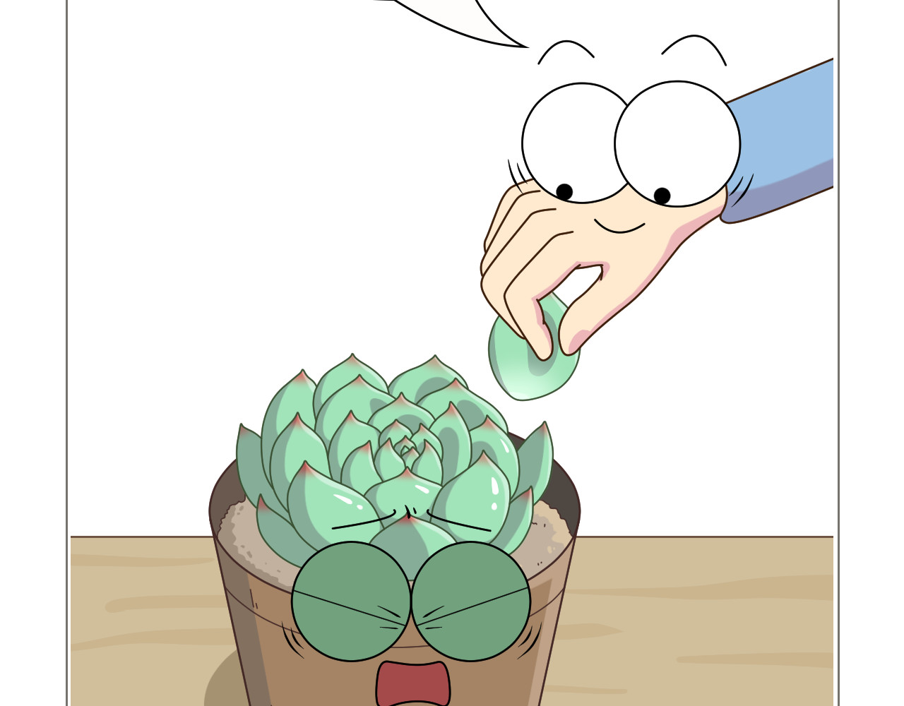 食方—你不知道的种植小技巧 拥有一颗多肉，就等于拥有无数棵多肉 第6页