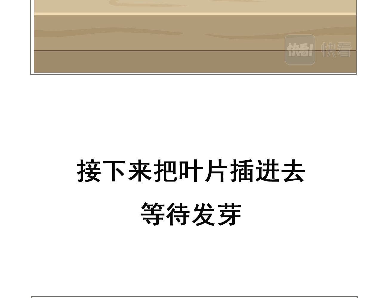 食方—你不知道的种植小技巧 拥有一颗多肉，就等于拥有无数棵多肉 第10页