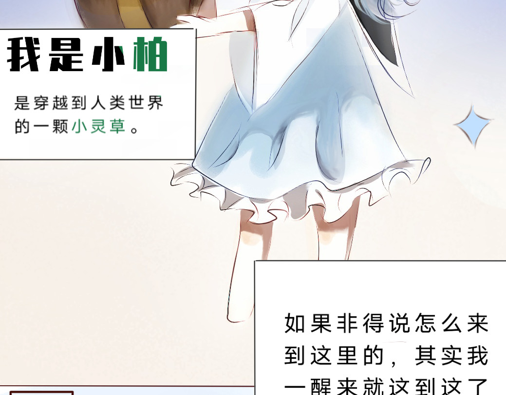 小灵草日记簿 第2页