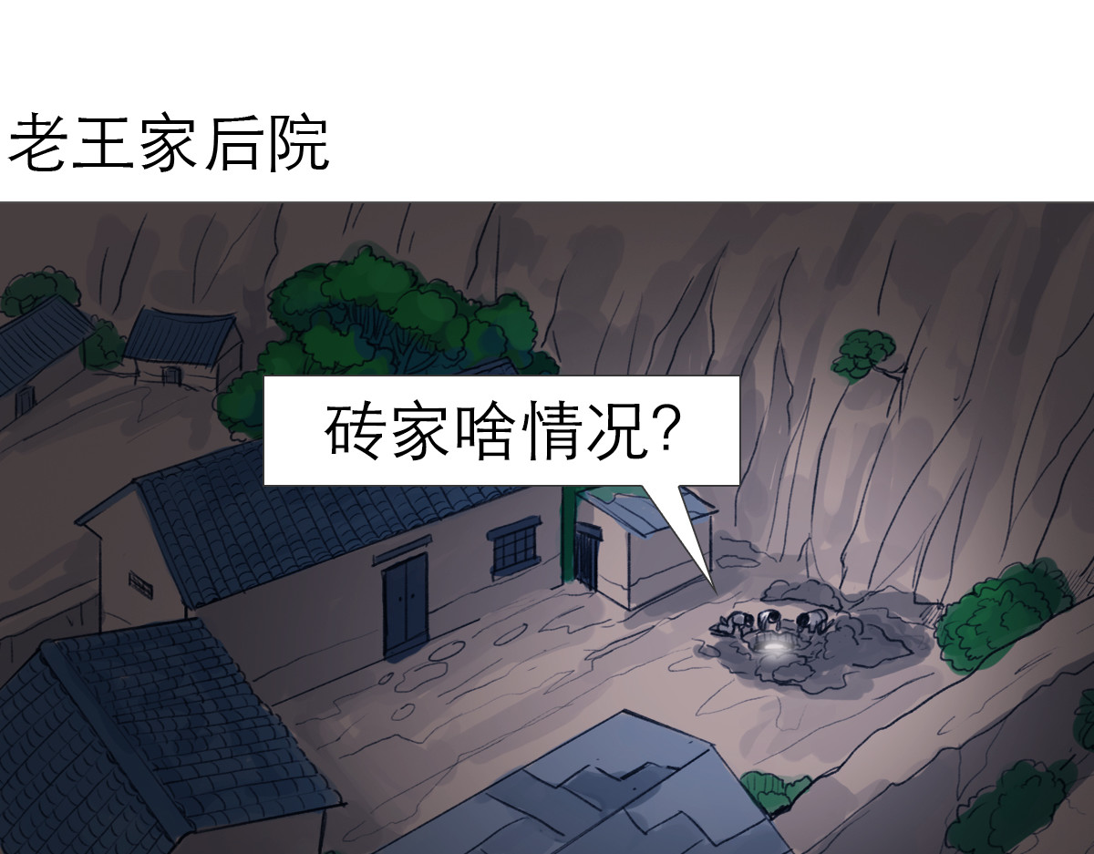 大宝剑 盗墓贼去我家 第41页
