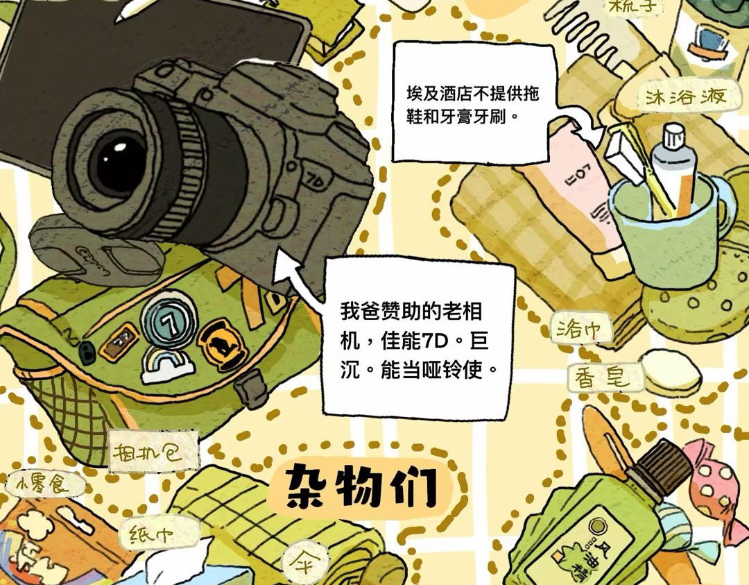 埃及游记 第6页