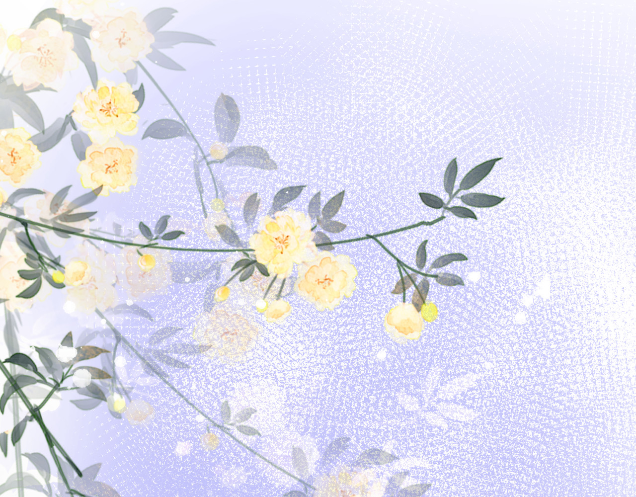 石梦花忆 第3页