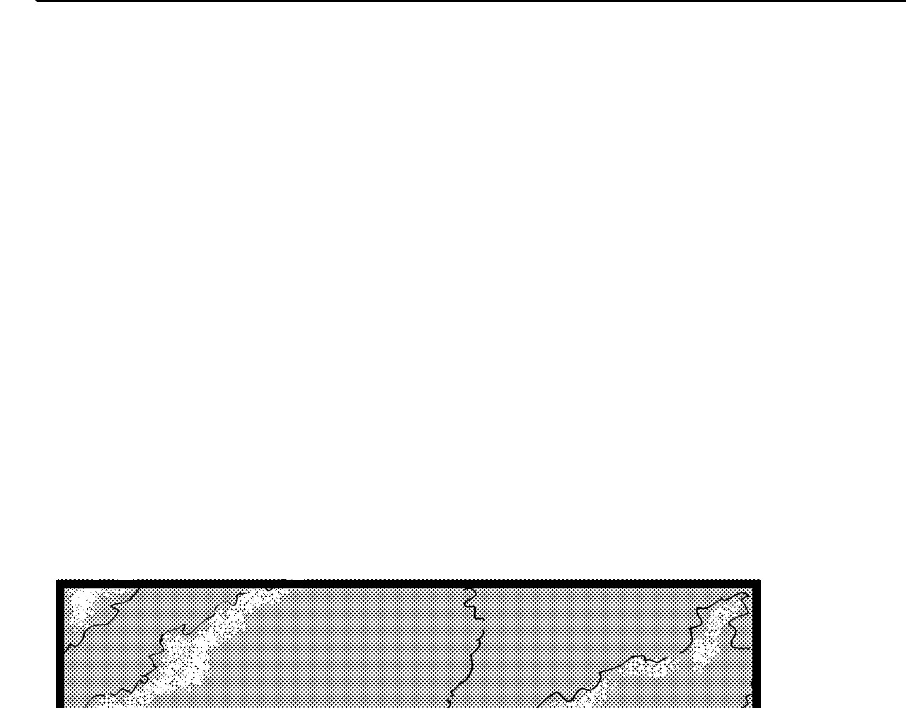 琼花河 大雪 第38页