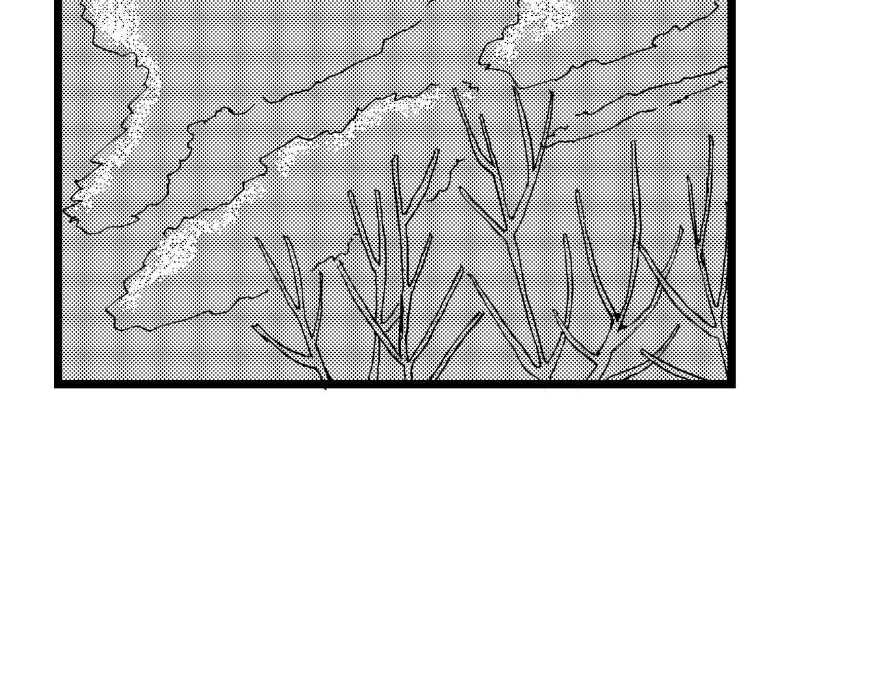 琼花河 大雪 第39页