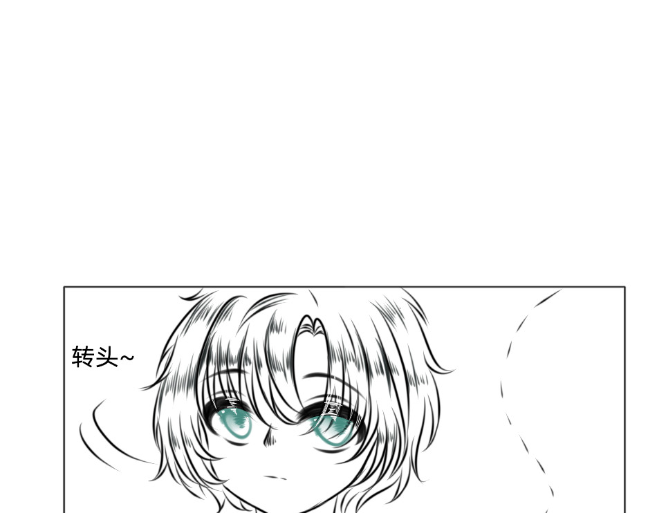 回 25号组织 第23页