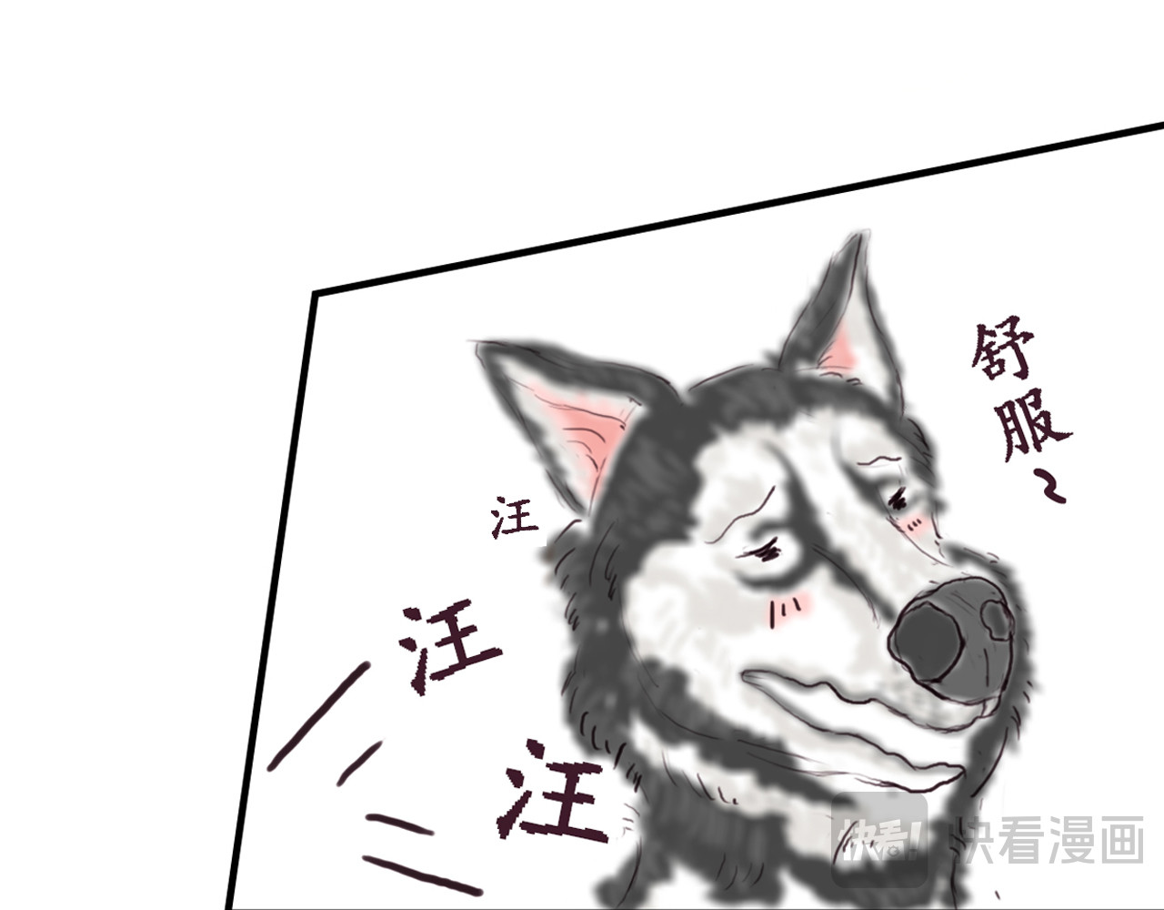 铲屎官de基 C位拉屎 第17页