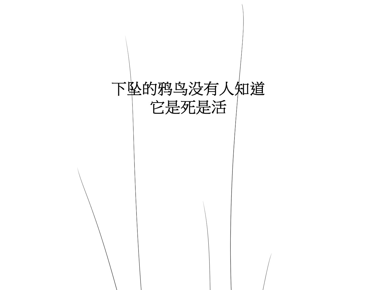 坠鸦 03.完结 第14页