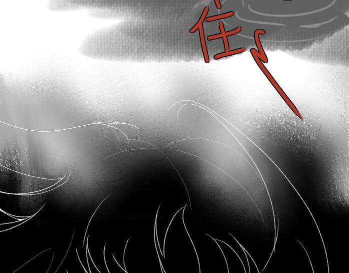 海之遇 去吧，孩子 第57页