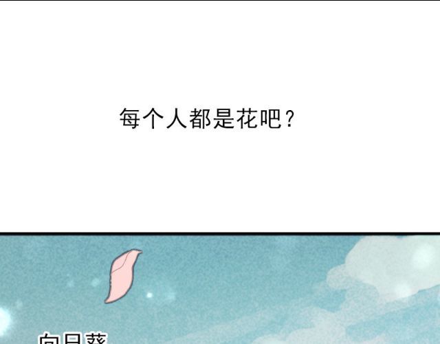 朝花惜时 第1页