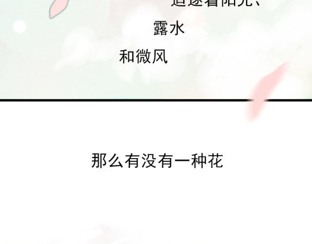 朝花惜时 第3页