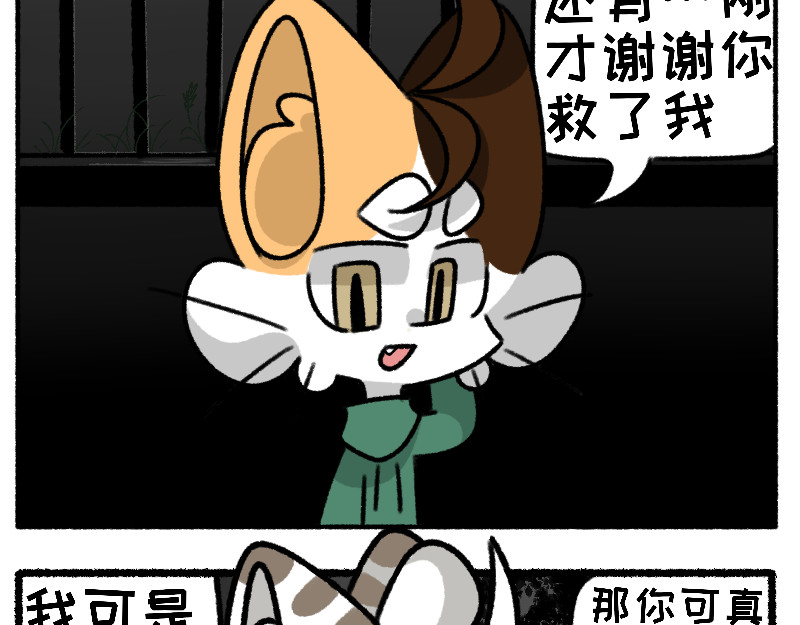 六猫行 遭遇欺凌 第25页
