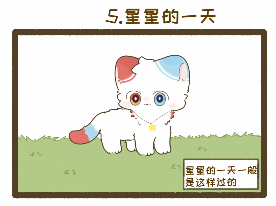 阿猫星星 星星的一天 第3页