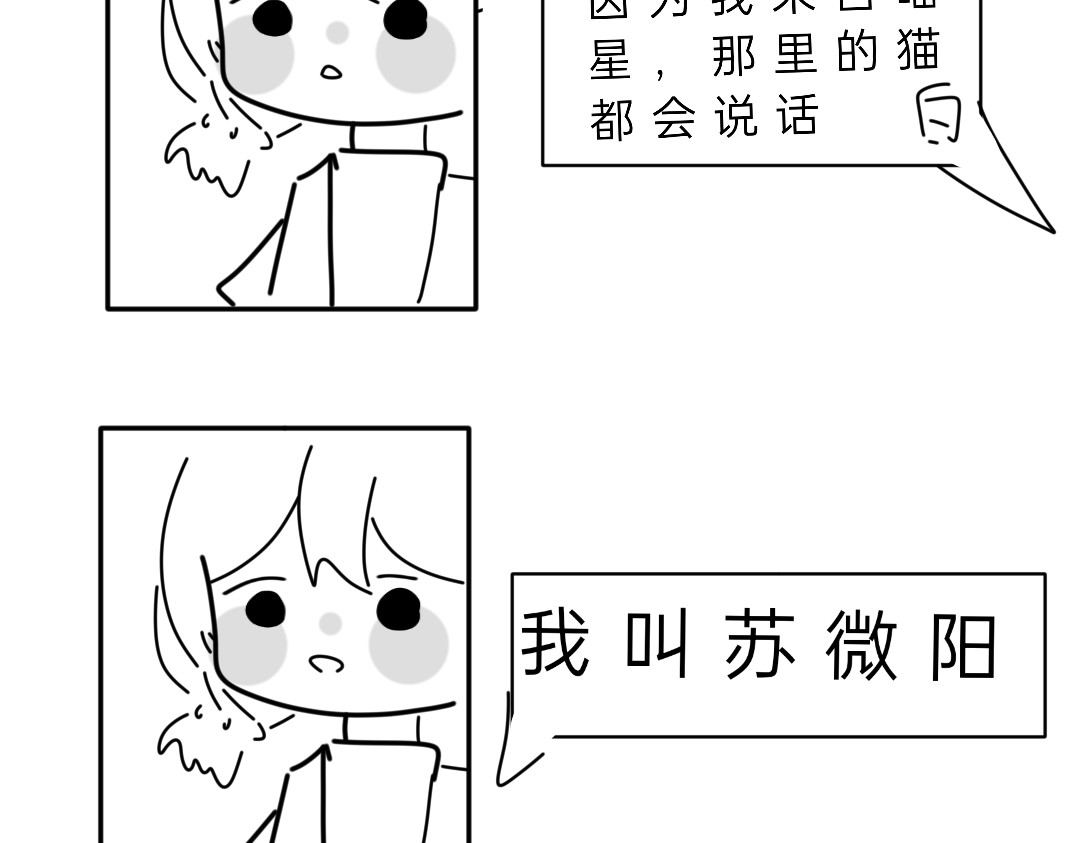 逐浪海 第一章，白小树 第19页