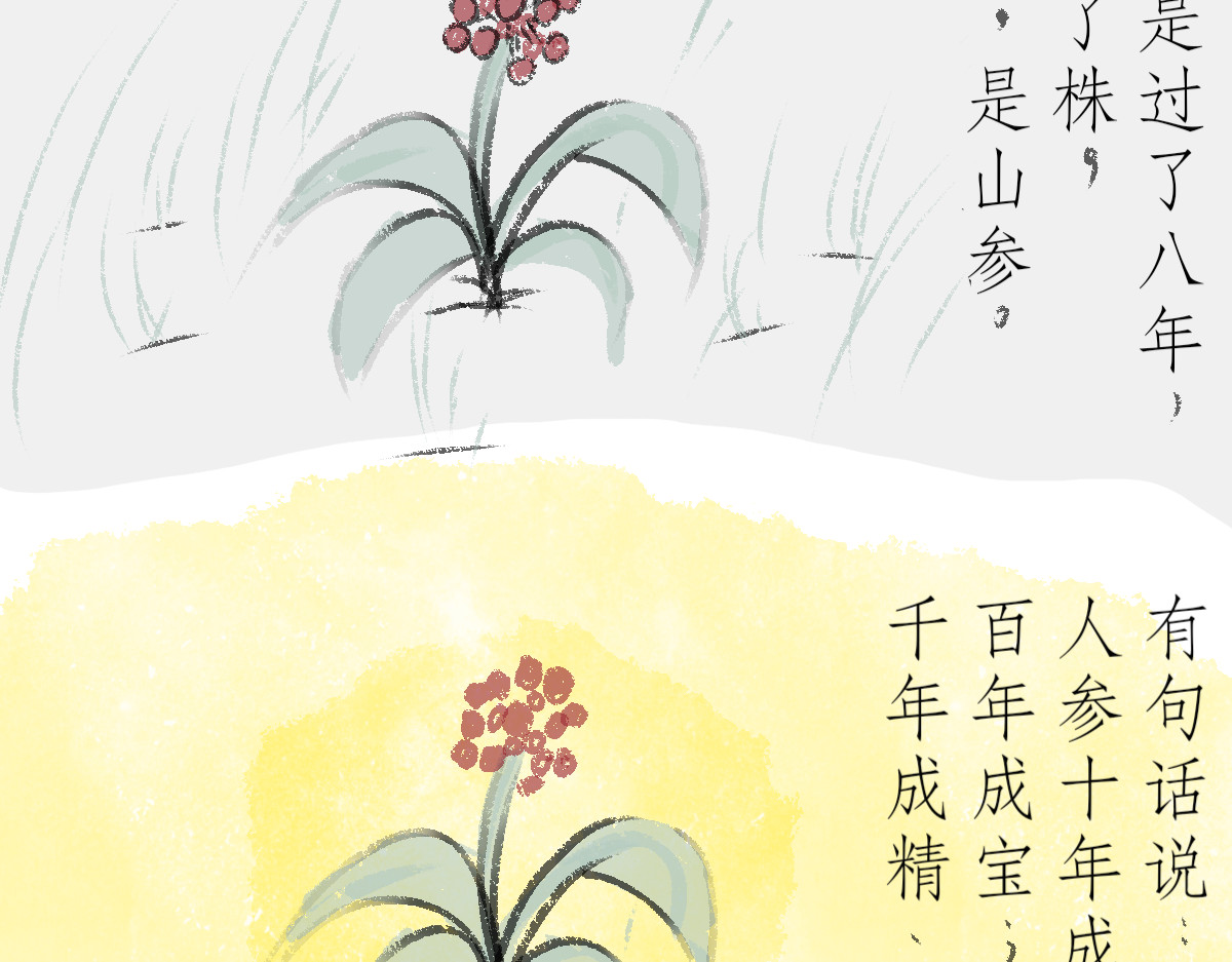 幽武杂谈 第5页