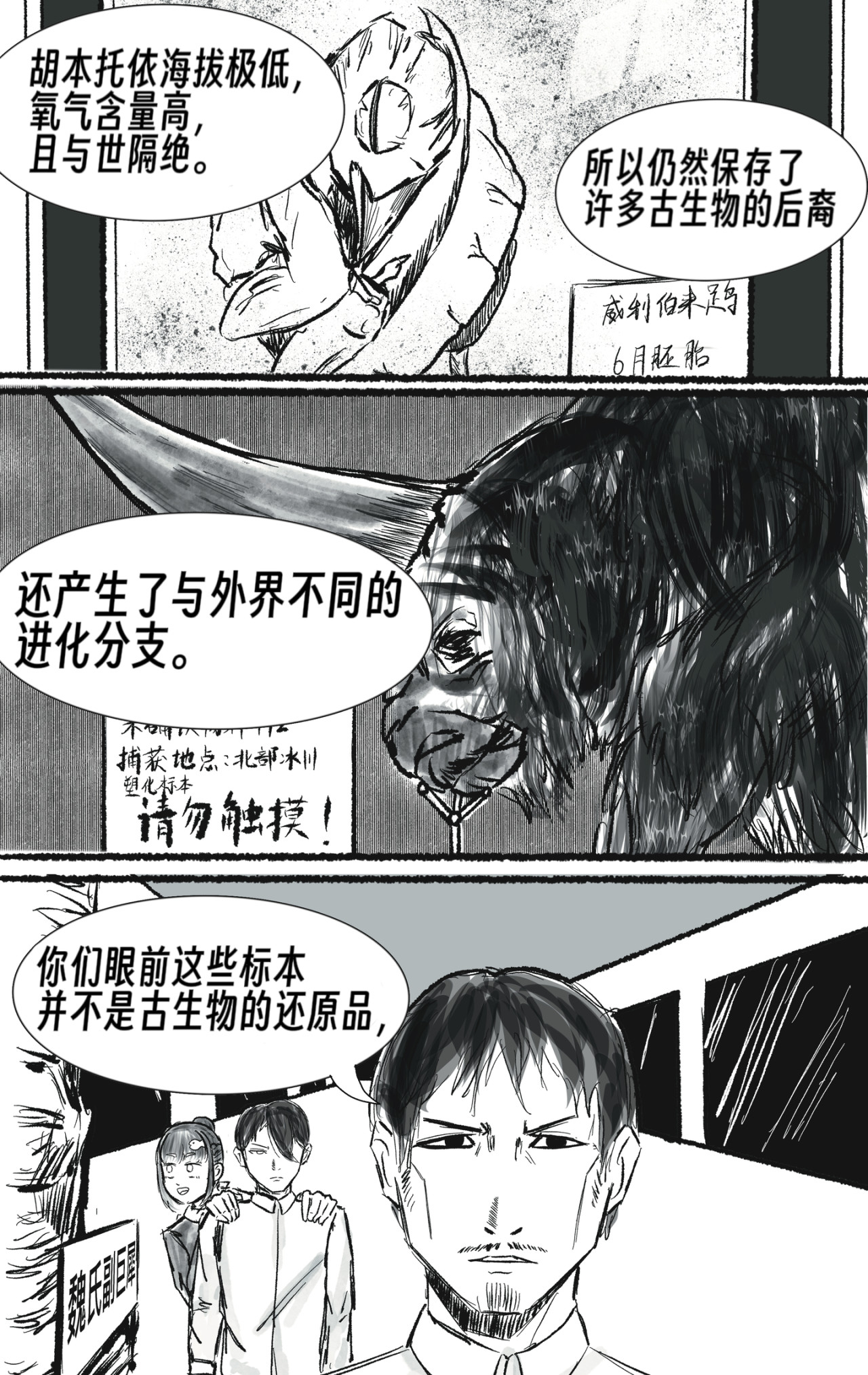 风信子 叛军 第13页