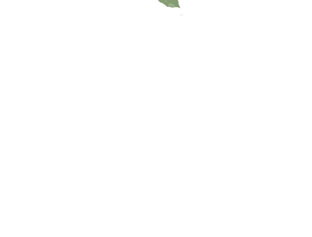 盛夏气息 （非正文） 第87页