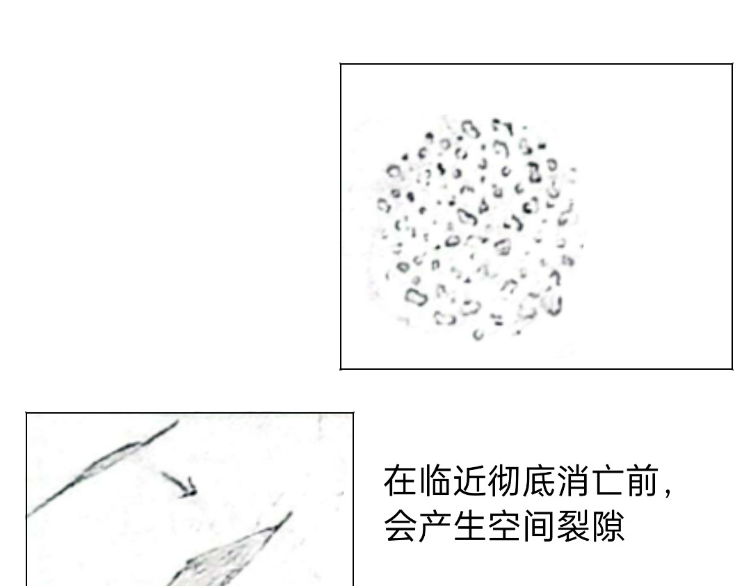 欲天齐 “出”逃 第14页