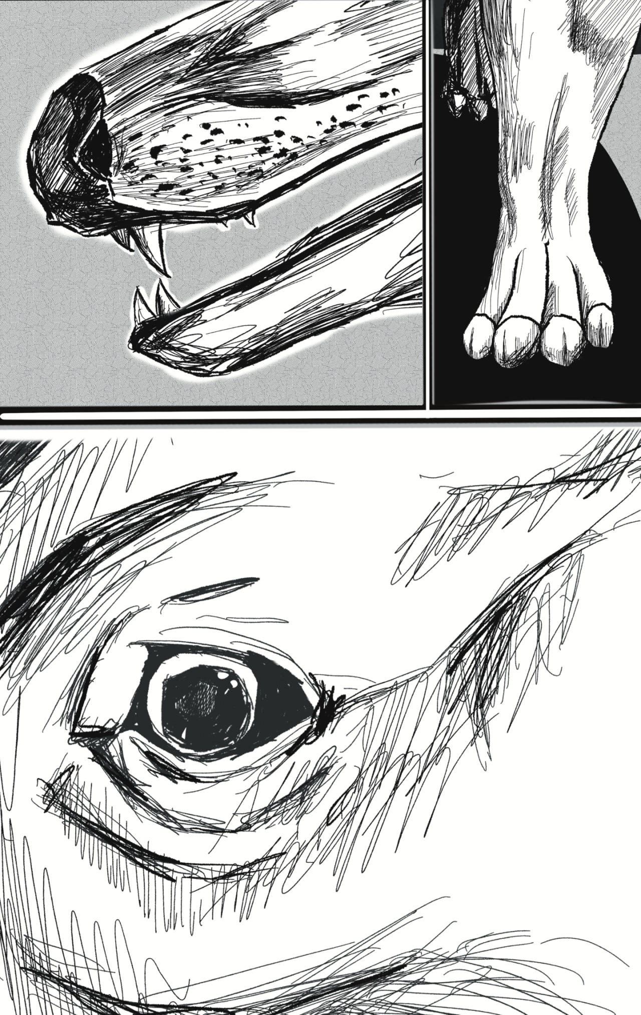 风信子 孤灯 第3页