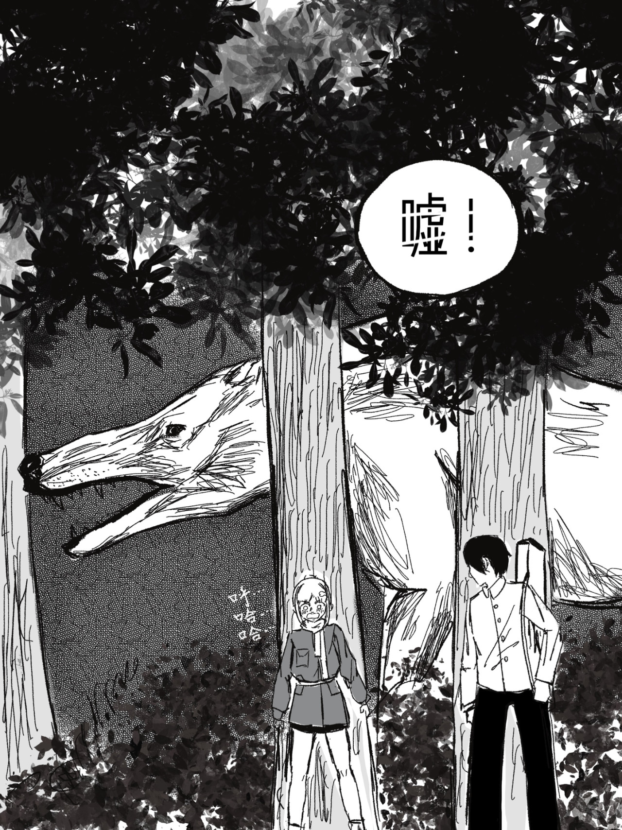 风信子 孤灯 第4页
