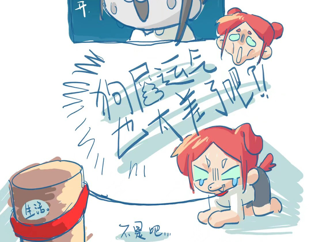 三伏将谢 倒霉熊不是停播了吗 第14页