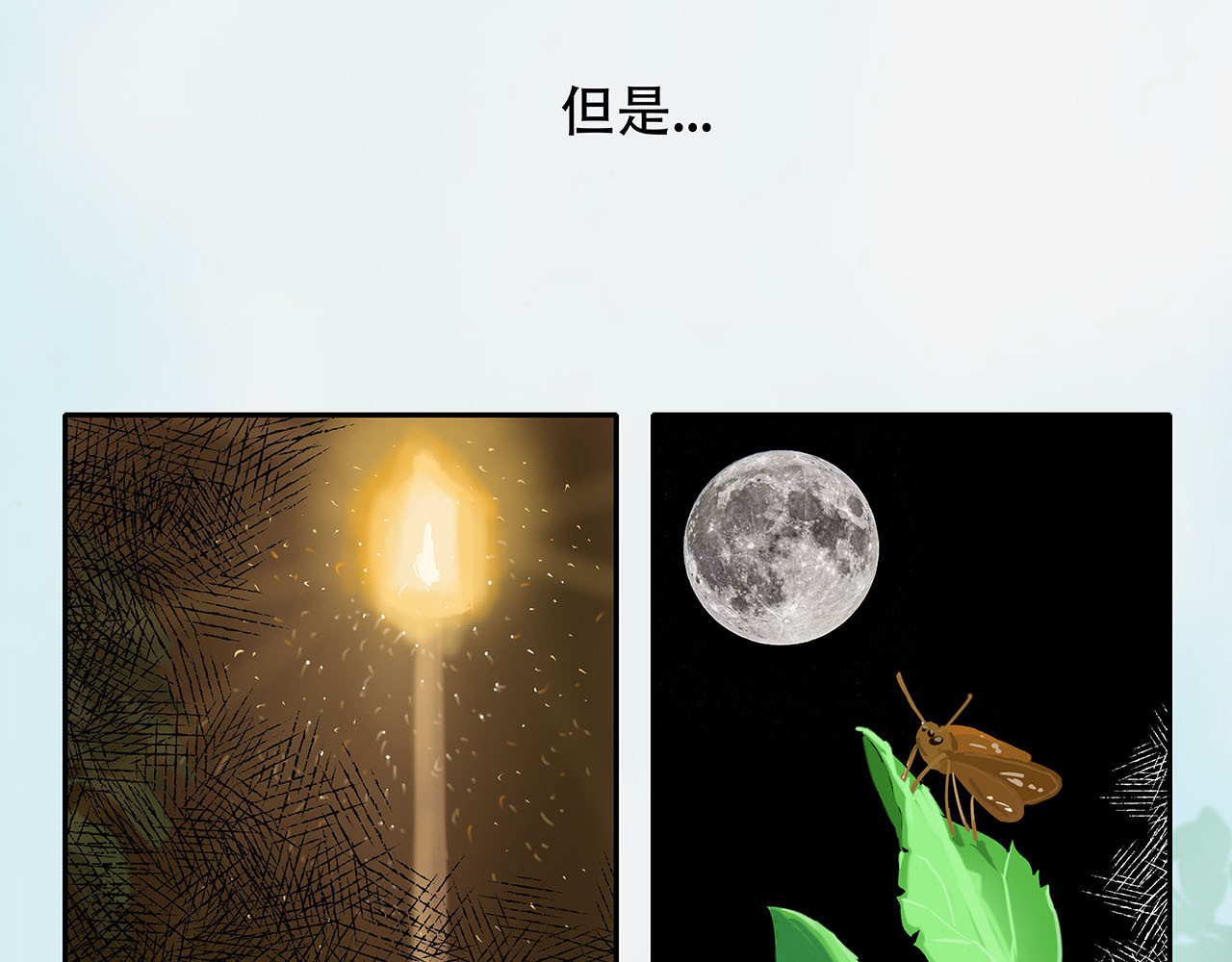 月虫之恋 第5页